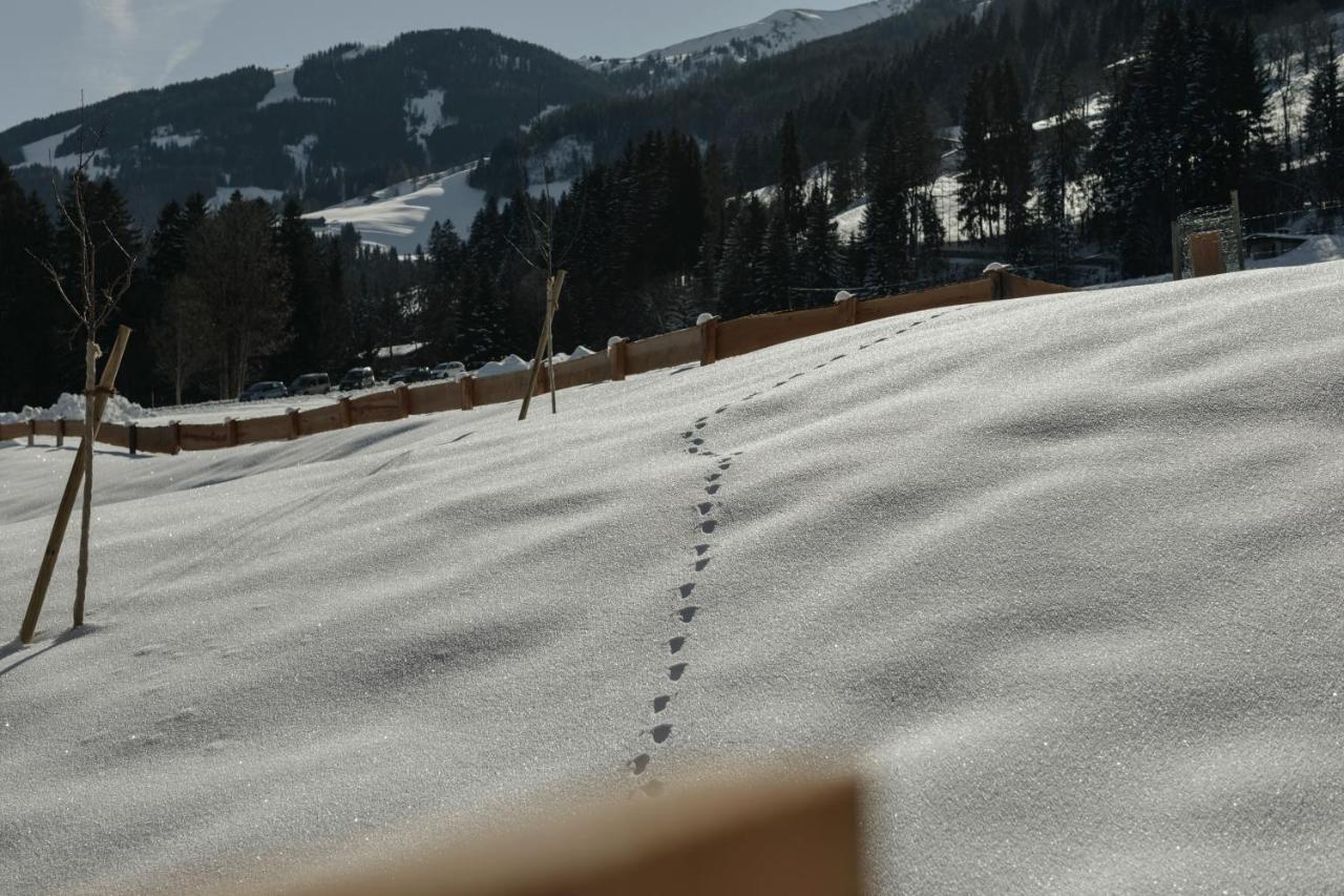 Hygna Chalets Reith im Alpbachtal Zewnętrze zdjęcie